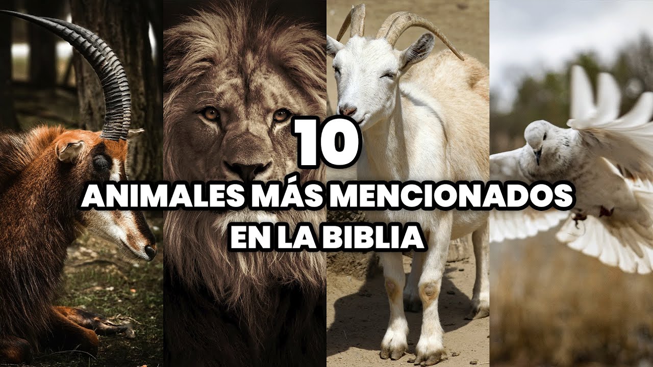 Animales en la Biblia: simbolismo divino