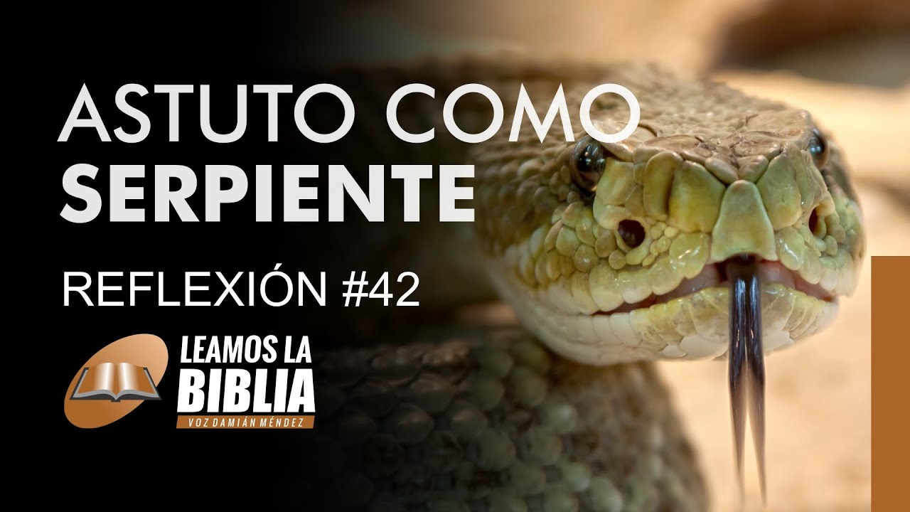 Astucia y mansedumbre en la Biblia: serpiente y paloma