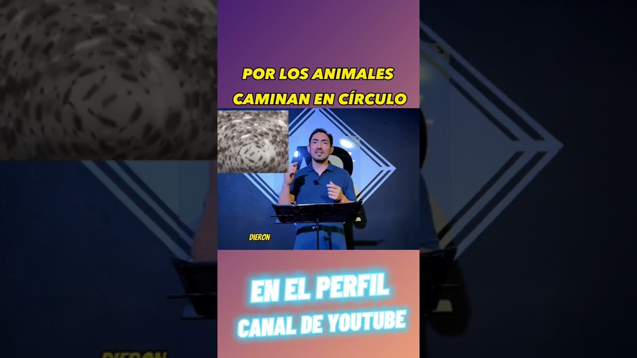 Círculos en la Biblia y caminata animal
