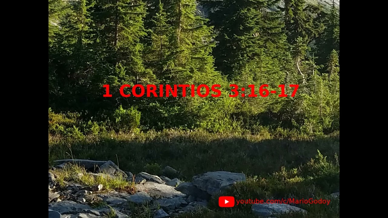 Descubre el significado de 1 Corintios 3:16-17 en la Biblia Católica