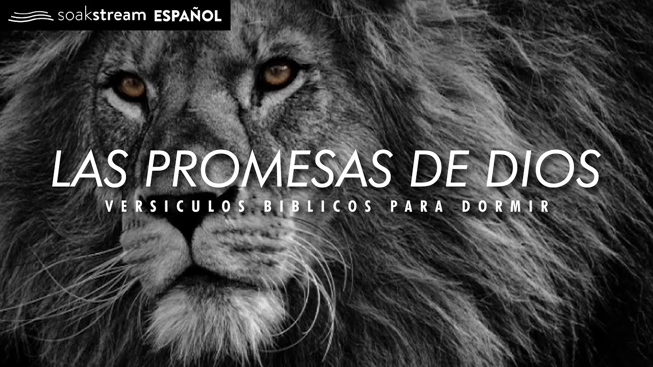 Encuentra paz y esperanza en las promesas de Dios