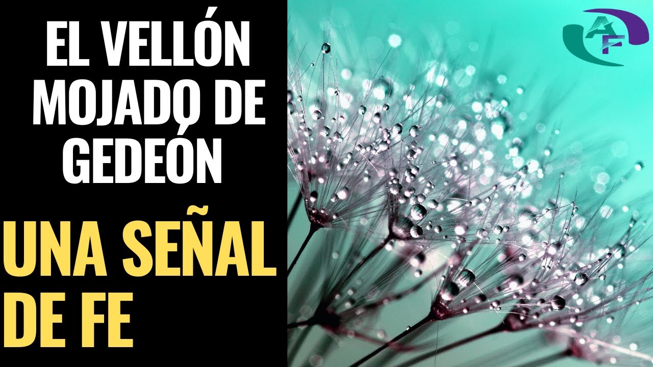 Significado religioso del vellón de lana en la Biblia