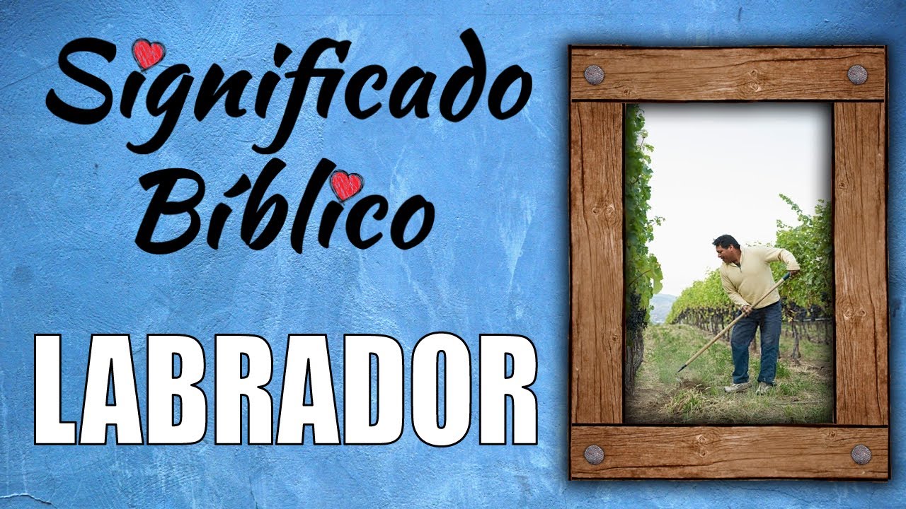 Descubre el significado bíblico de la palabra Labrador