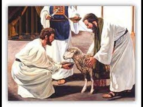 Descubre los diferentes tipos de sacrificios mencionados en la Biblia