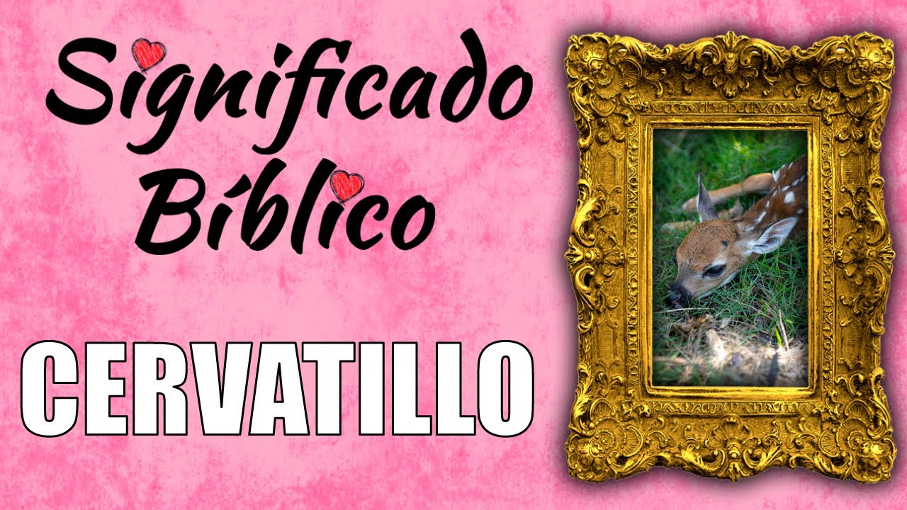 El significado de cervatillo en la Biblia: simbolismo y enseñanzas