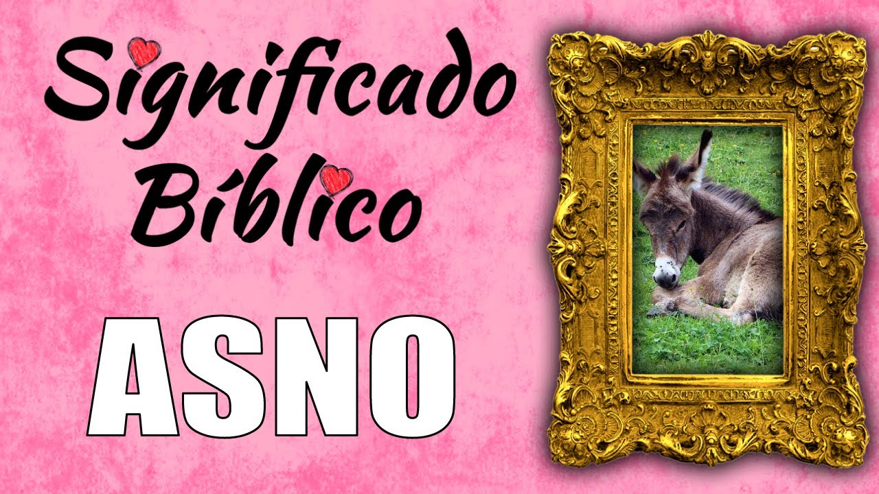 El simbolismo del asno en la Biblia y su significado espiritual