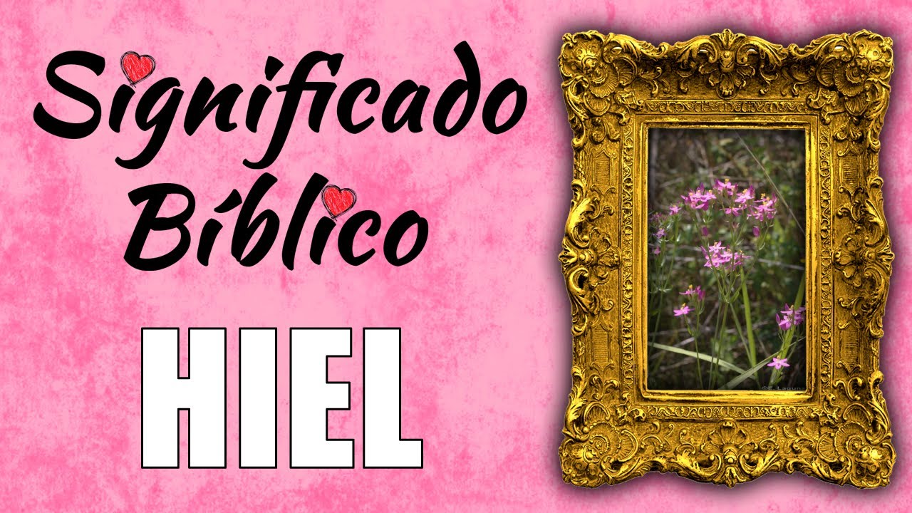 El simbolismo del hiel en la Biblia: significado y enseñanzas