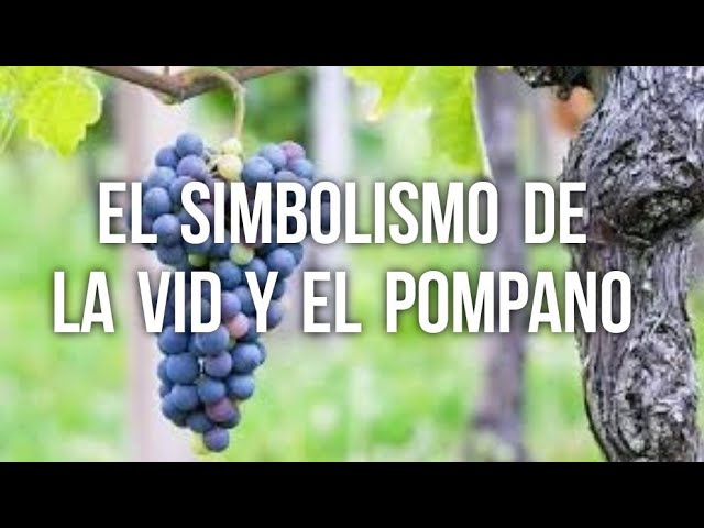 El simbolismo del pampano en la Biblia: significado y enseñanzas