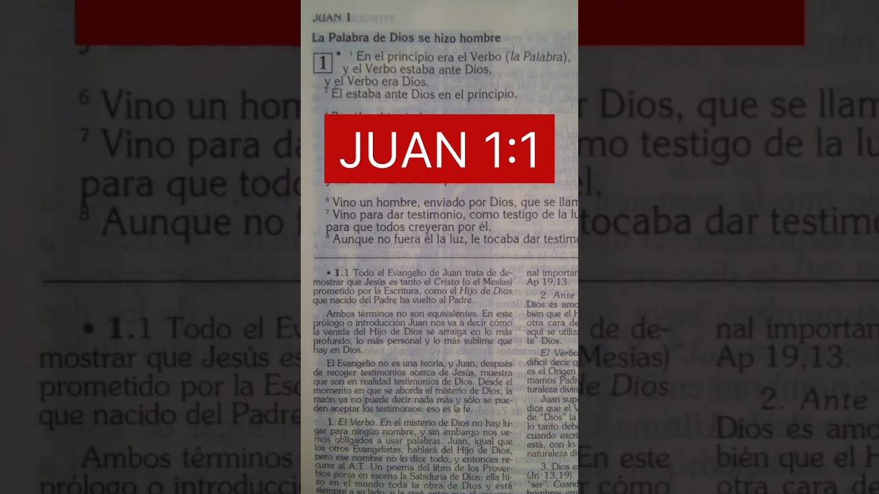 Juan en la Biblia: Descubre cuántos y su significado religioso