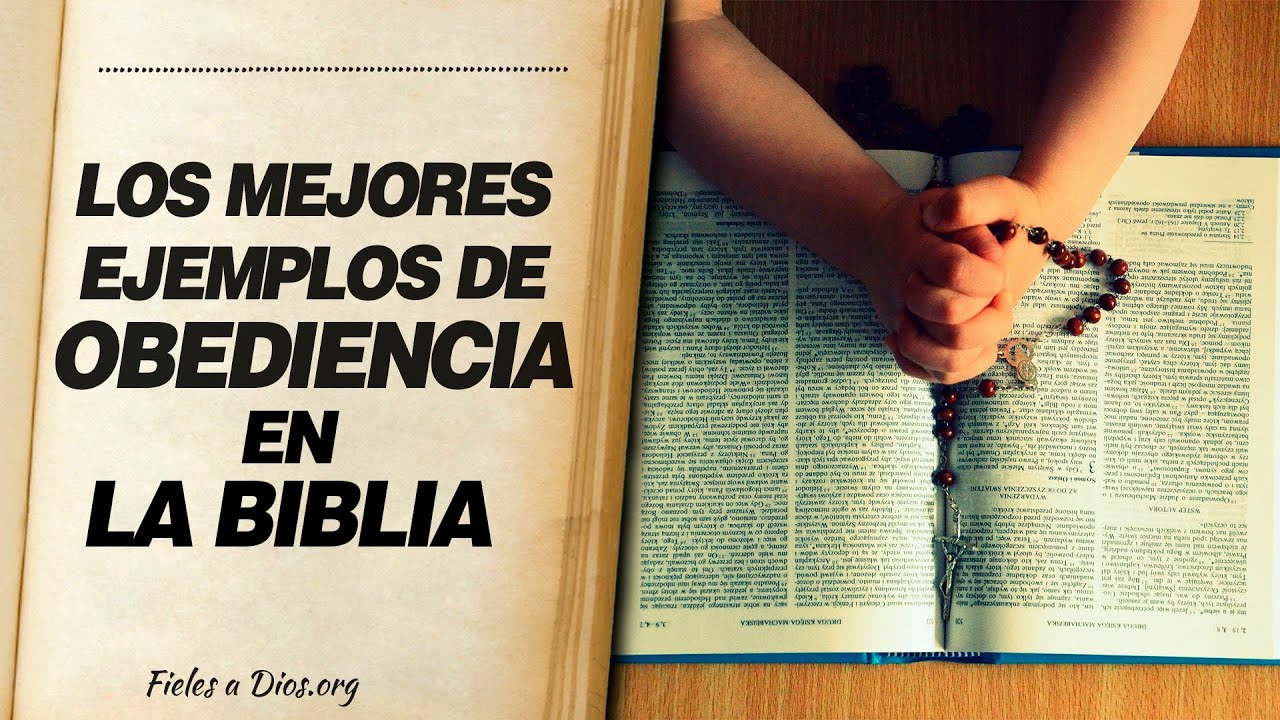 Obediencia en la Biblia: ejemplos de héroes de la fe