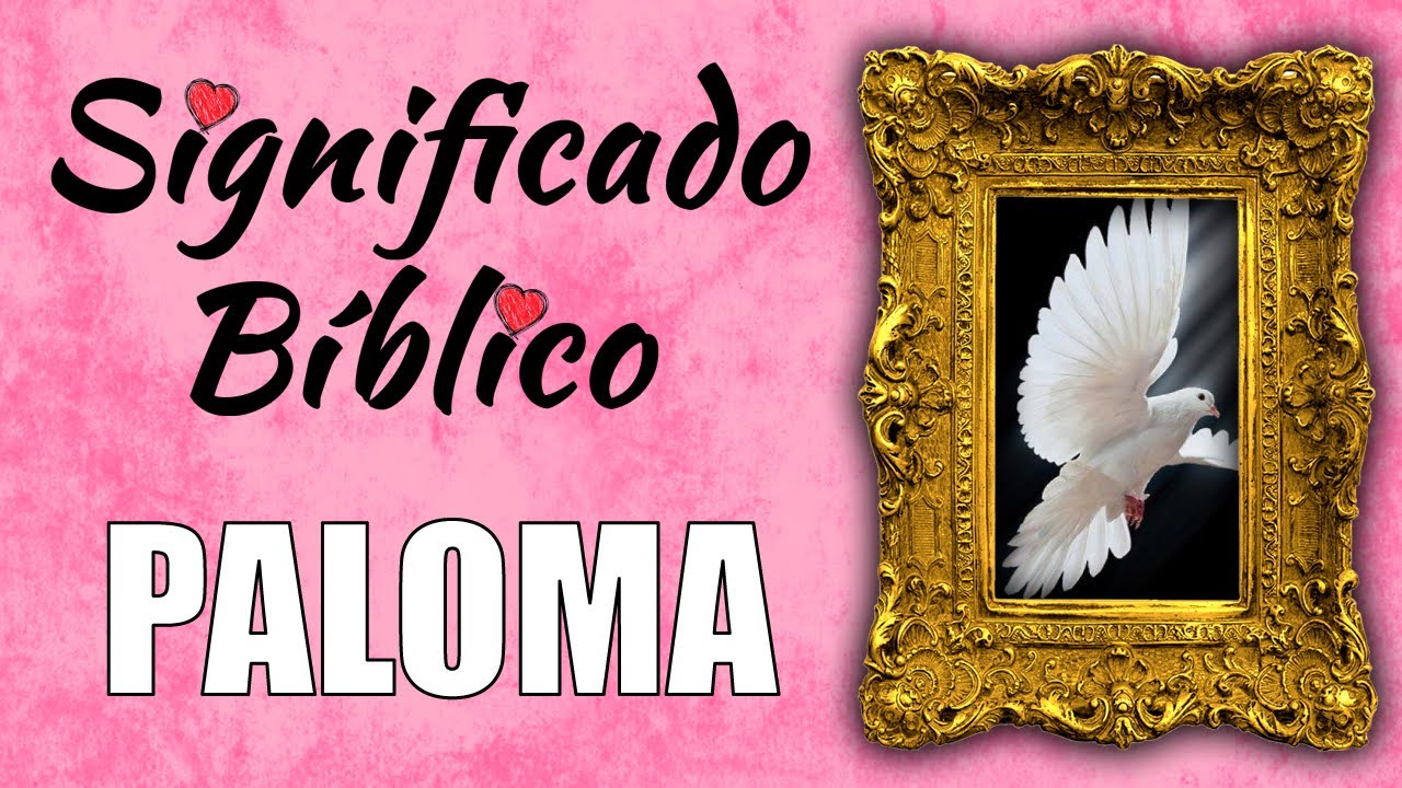Significado de la paloma blanca en la Biblia y religión