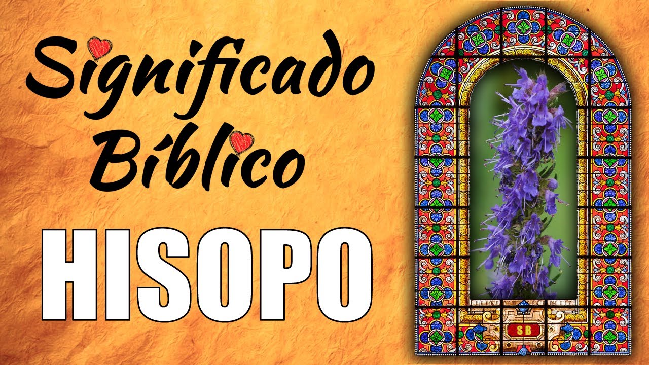 Significado del hisopo en la Biblia y su importancia en la fe