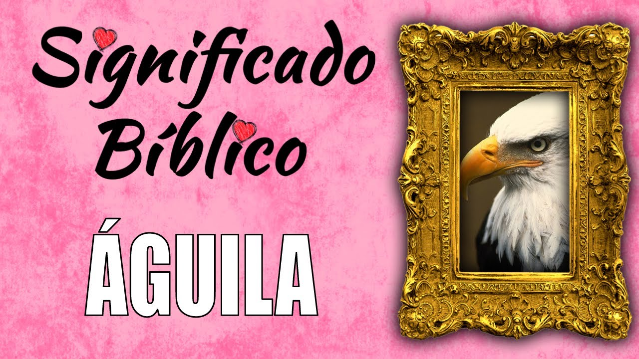 Simbolismo del águila en la Biblia y su significado espiritual