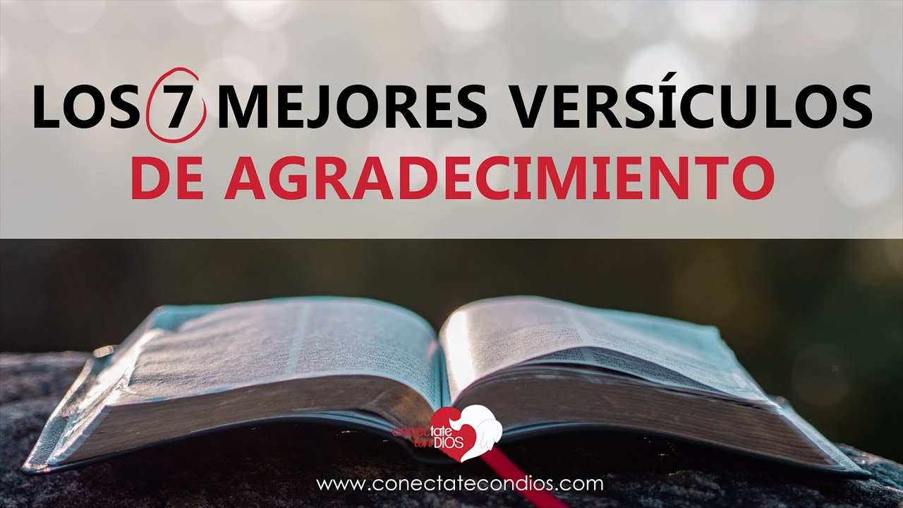 Versículos poderosos de la Biblia sobre agradecimiento a Dios