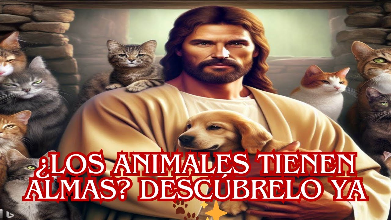 ¿Animales tienen alma según Biblia evangélica? Descubre aquí