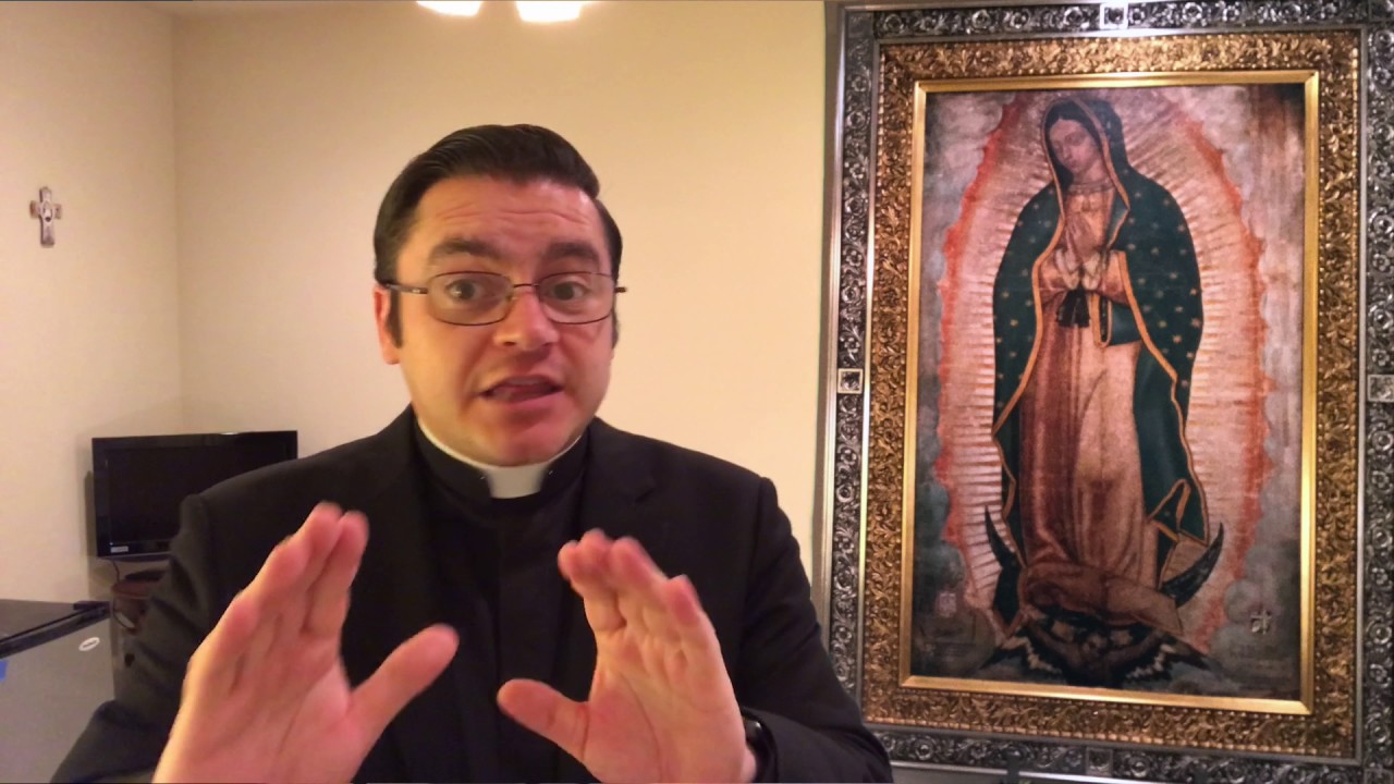 Conoce la verdad de la Biblia Católica: Por sus frutos los conoceréis
