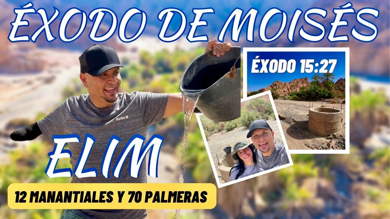 Elim en la Biblia: oasis bendito en desierto