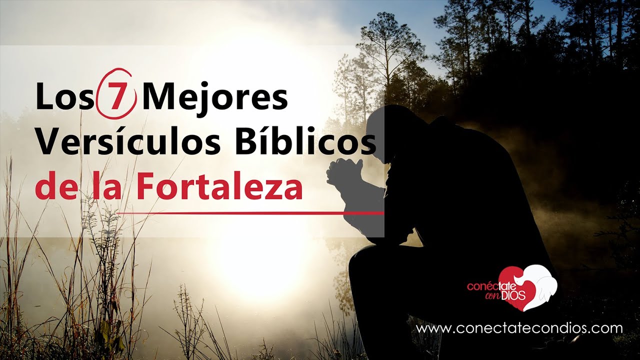 Encuentra en la Biblia tu fortaleza en el Señor tu bandera