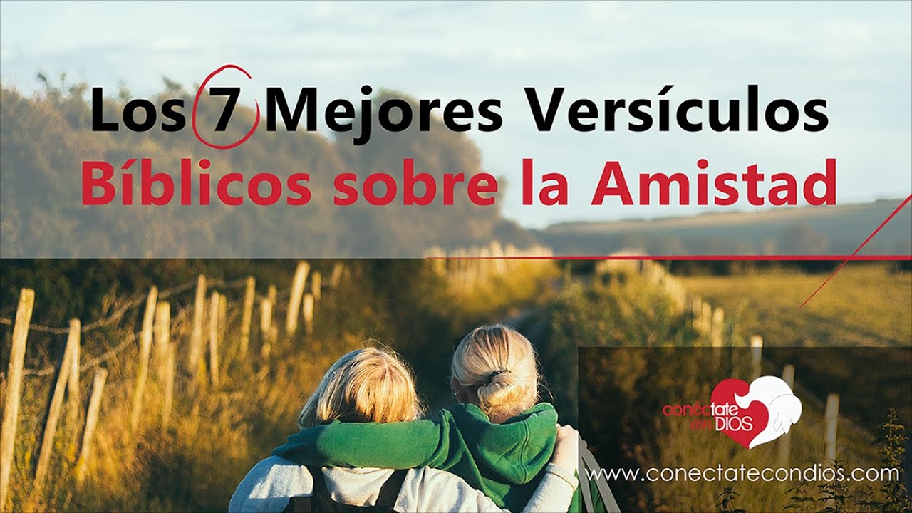 La sabiduría de la amistad en la Biblia: frases que inspiran
