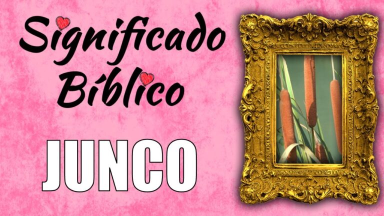 Significado de Junco en la Biblia: Simbolismo y Enseñanzas Espirituales ...