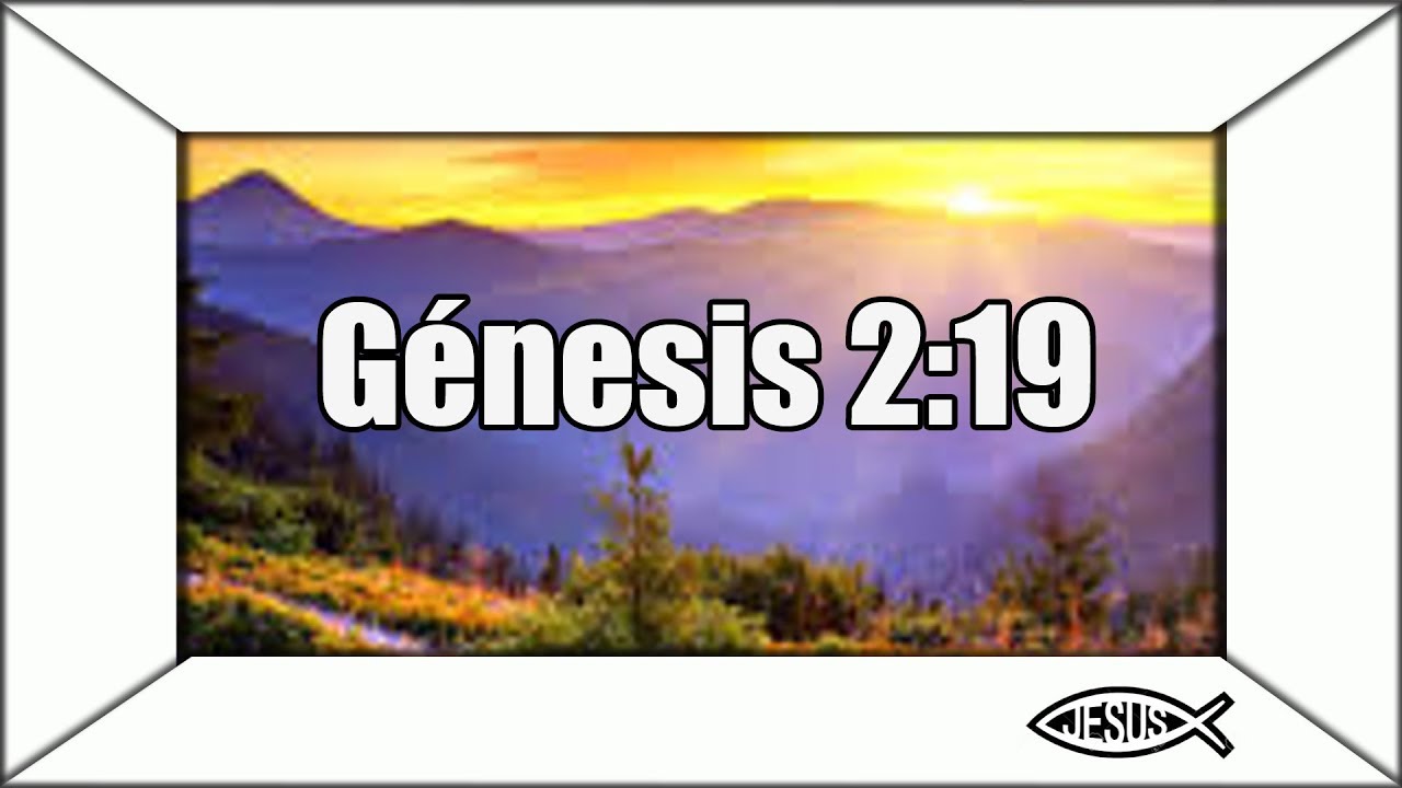 Biblia Católica: Creación de animales en Génesis 2:19