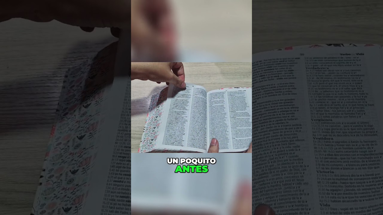 Conoce la concordancia bíblica y fortalece tu fe