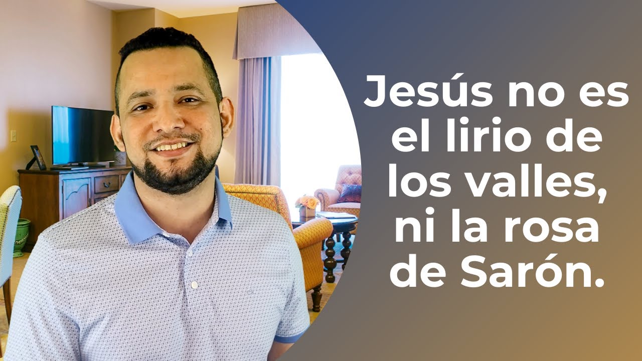 Descubre el significado del lirio de los valles en la Biblia