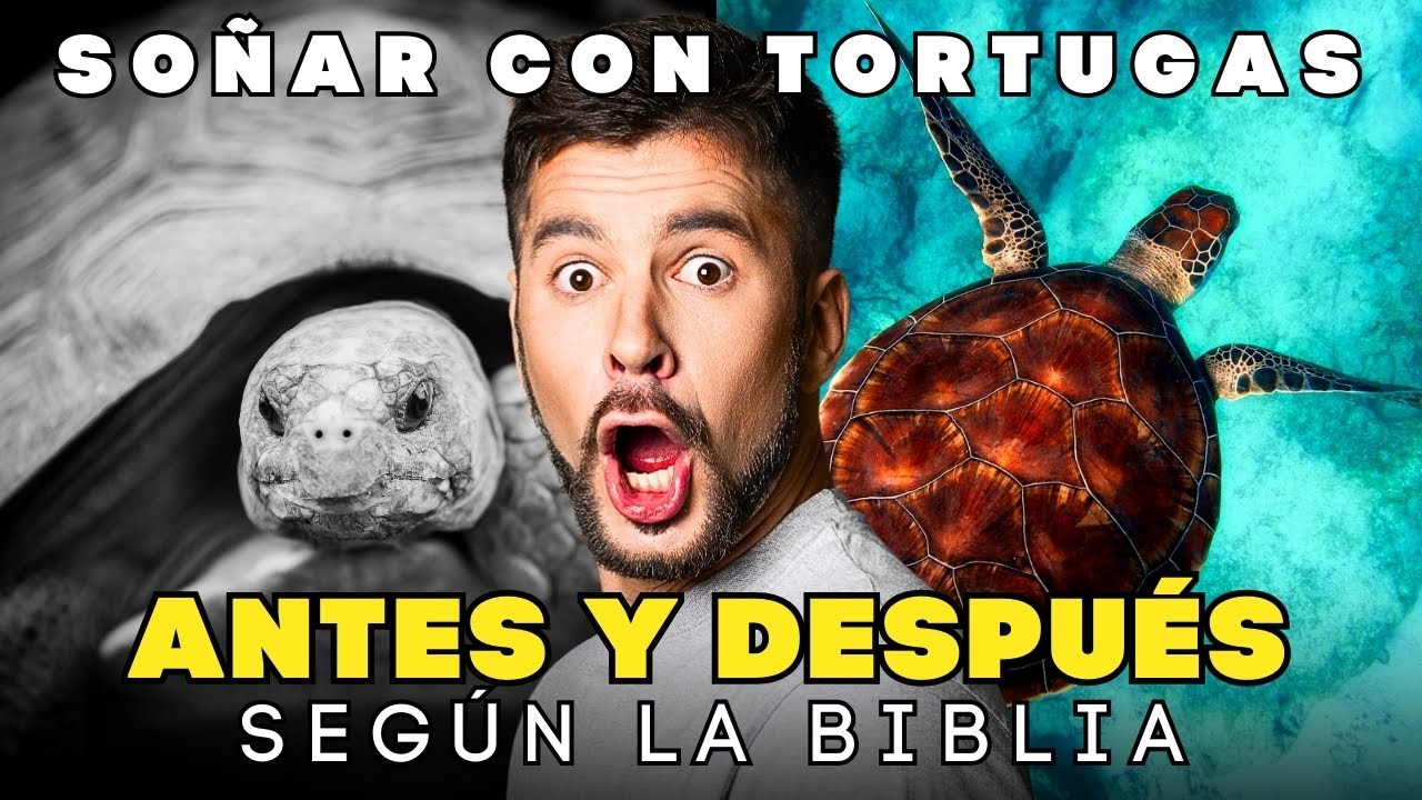El significado de los sueños con tortugas según la Biblia