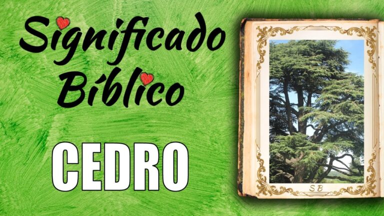 El Simbolismo del Cedro en la Biblia: Significado y Enseñanzas ...