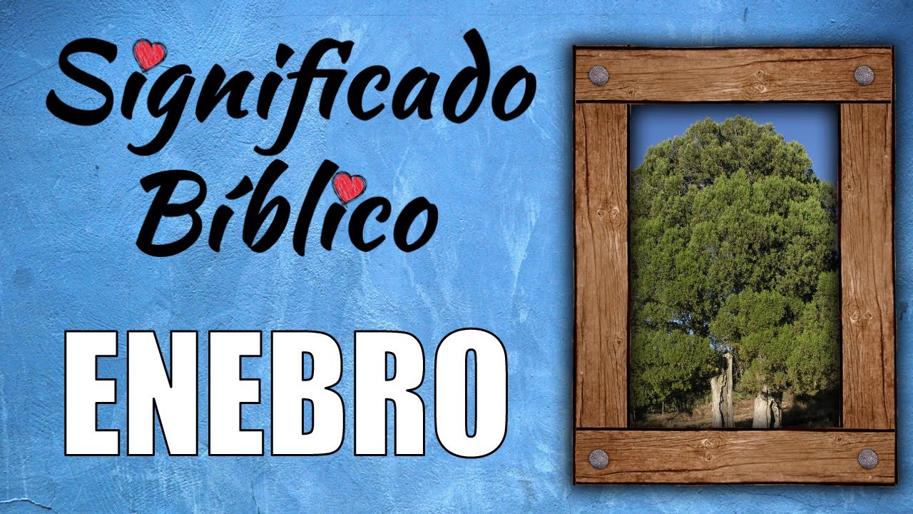 El simbolismo del enebro en la Biblia: significado y reflexiones