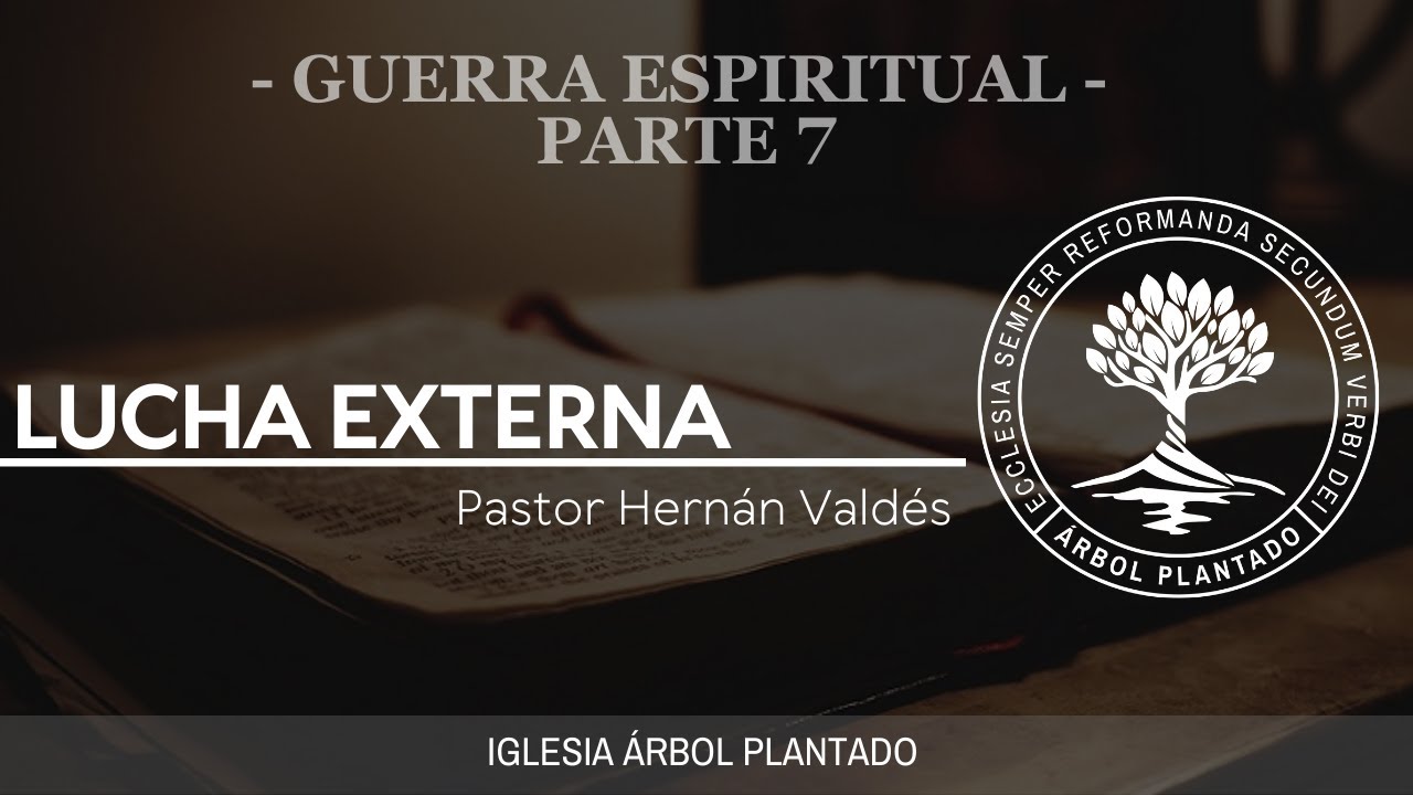 Fortaleza espiritual: como árbol plantado