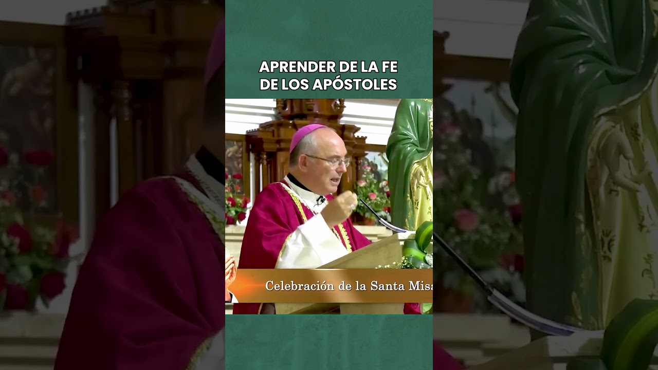 Guía de fe cristiana según Apóstoles en Biblia