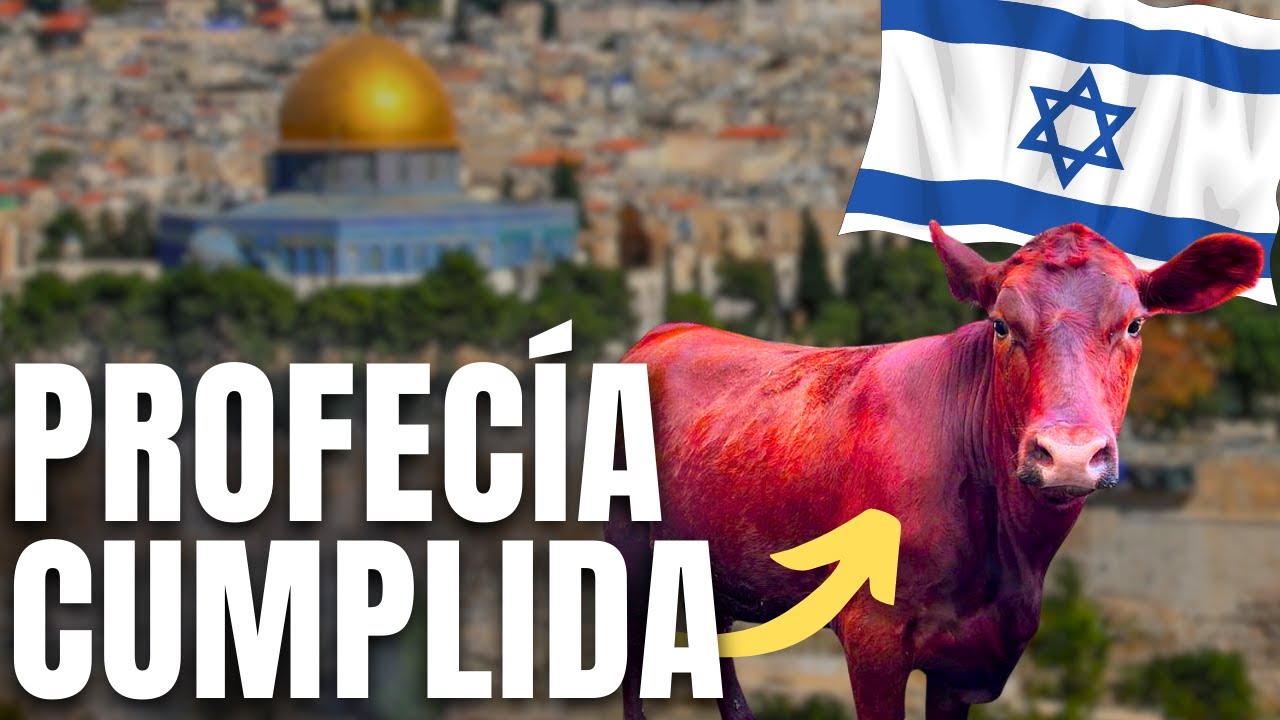 La interpretación de los tiempos actuales según la Biblia