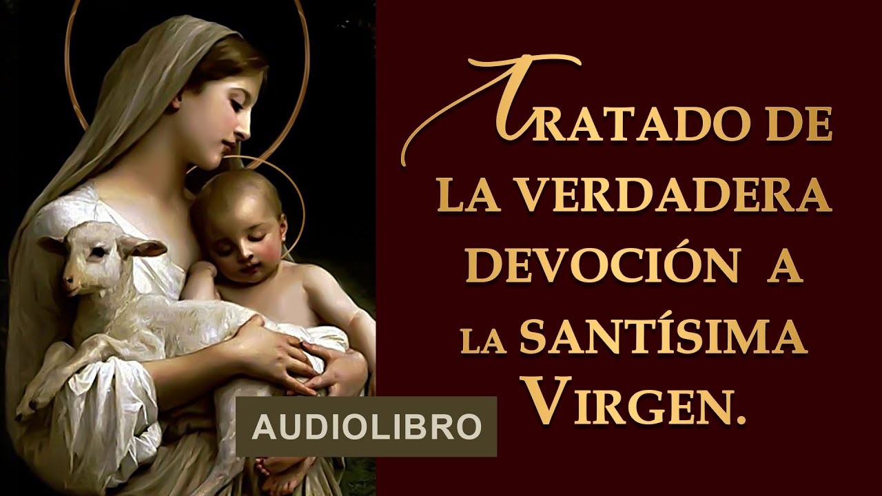 La verdadera devoción: No solo decir Señor Señor - Biblia Católica