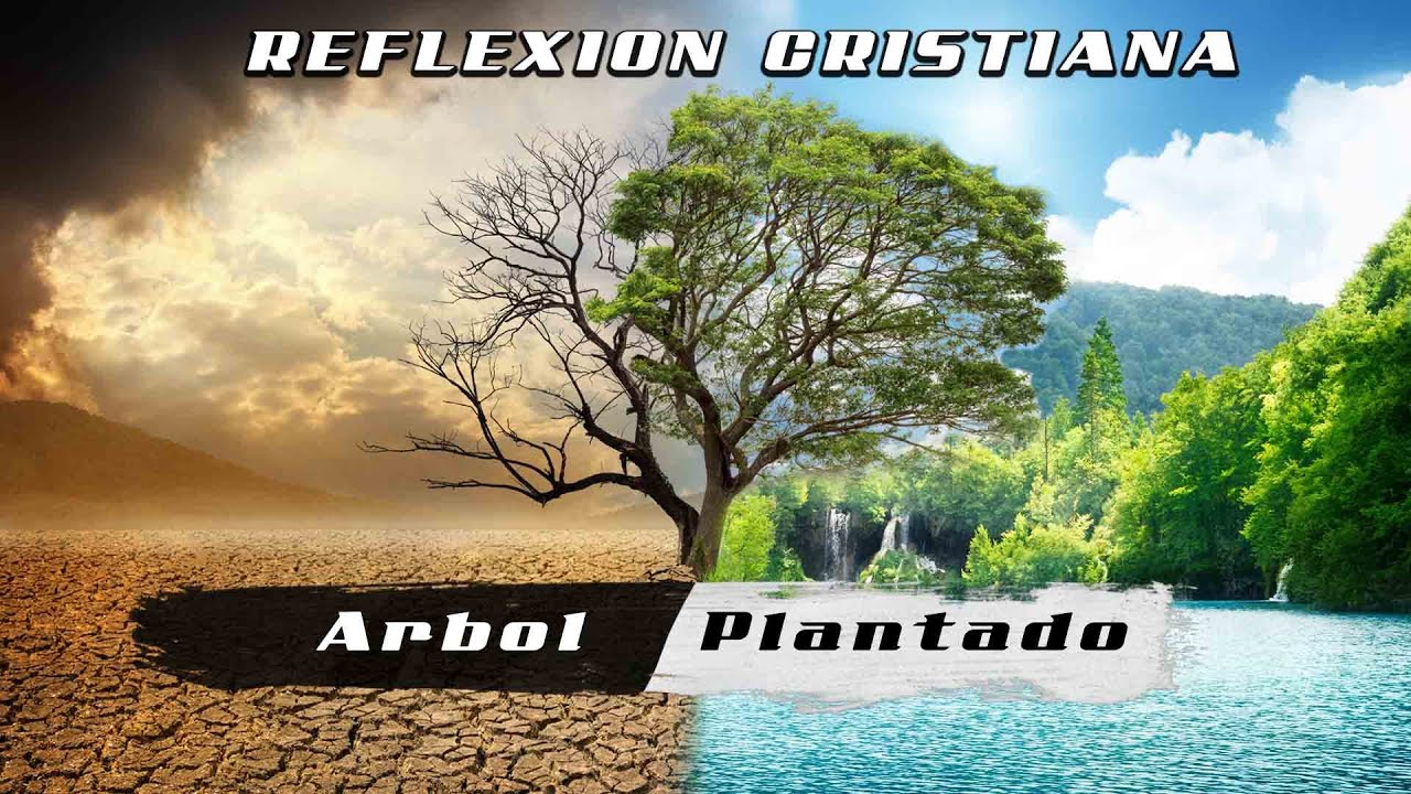 Plantados junto a corrientes de agua: la enseñanza bíblica