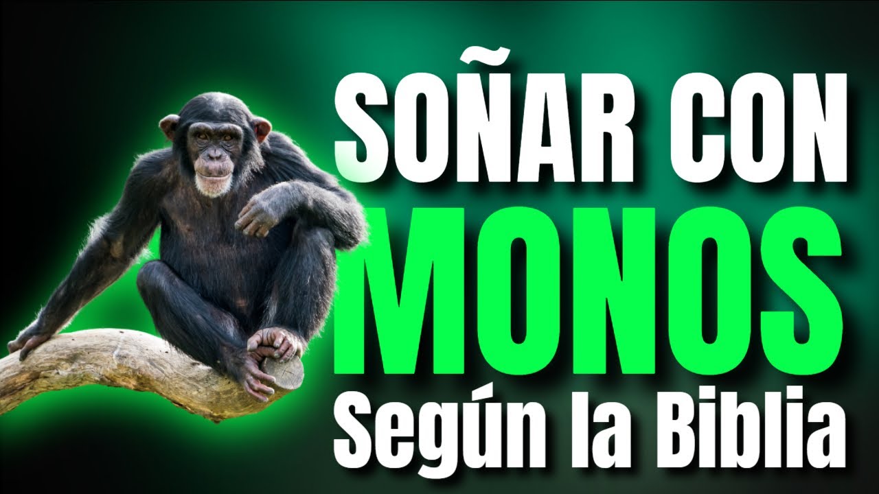 Significado bíblico de soñar con monos