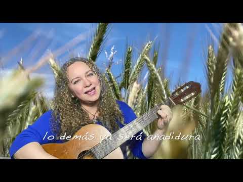 Contempla la belleza de los lirios del campo en la Biblia Católica
