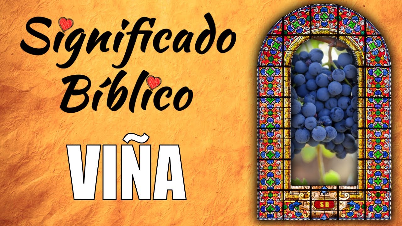 Descubre la diversidad en la viña del Señor según la Biblia