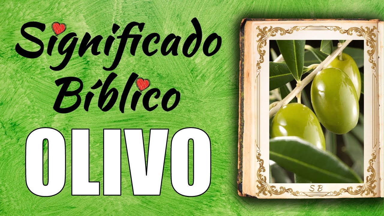 El Buen Olivo en la Biblia y su importancia en la fe cristiana
