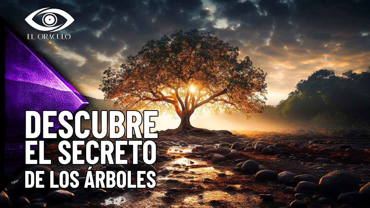 El significado de los árboles en la Biblia: descubre su simbolismo