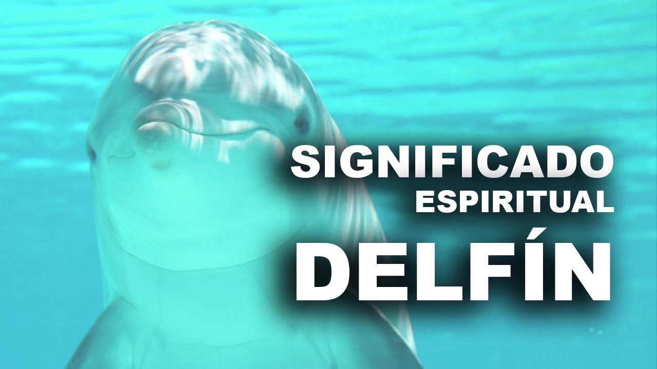 El simbolismo del delfín en la Biblia y su significado espiritual