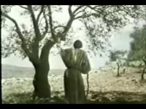 Historia apasionante de profetas bíblicos