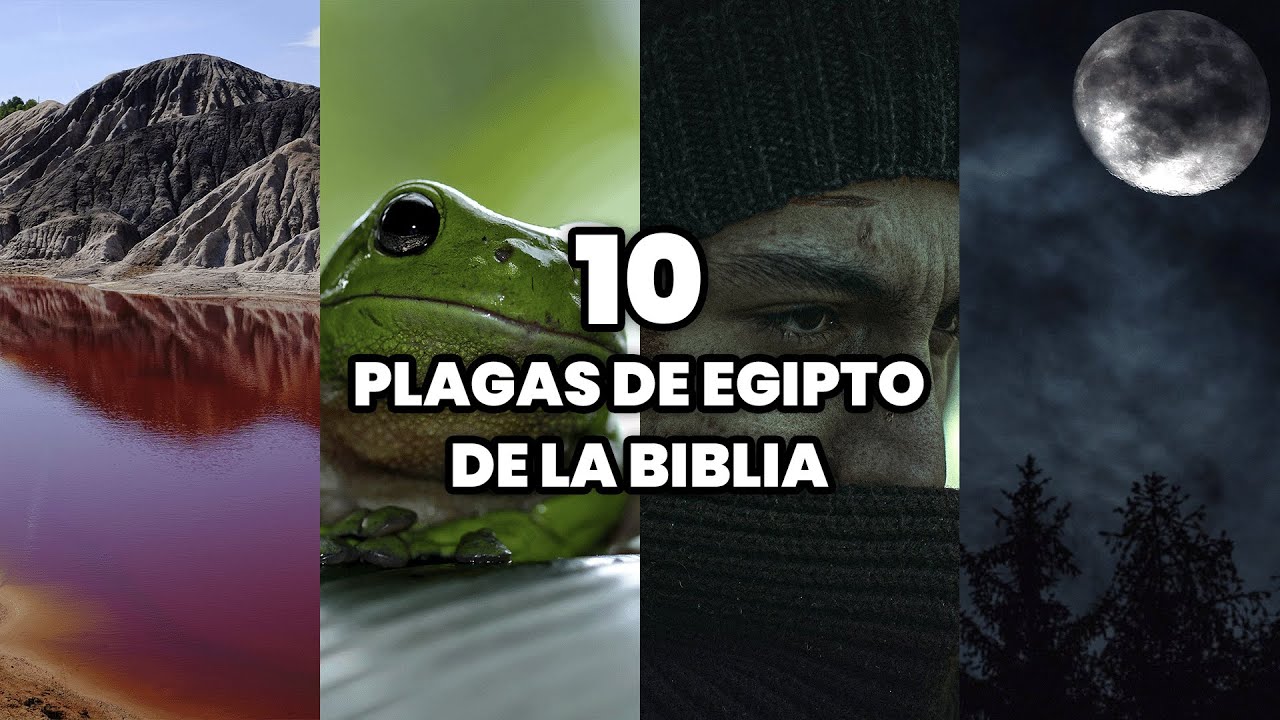 Las 10 plagas de Egipto en la Biblia
