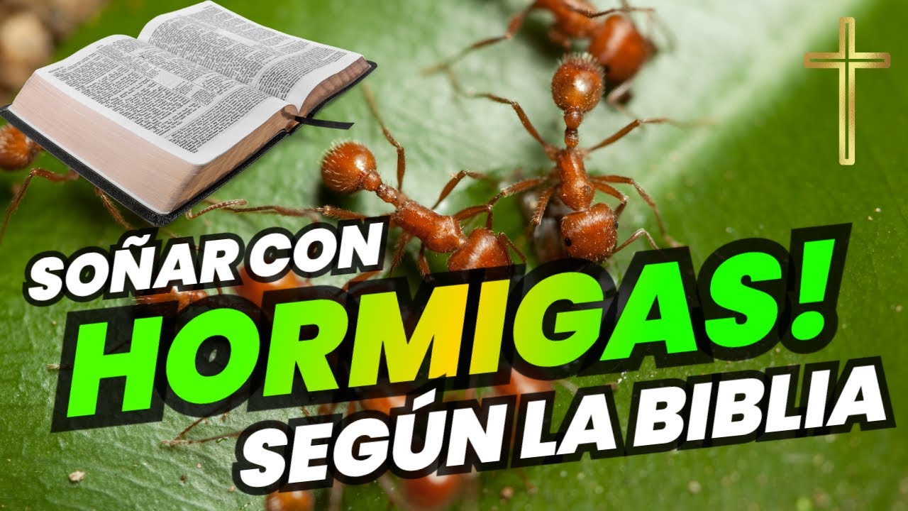 Significado bíblico de soñar con hormigas