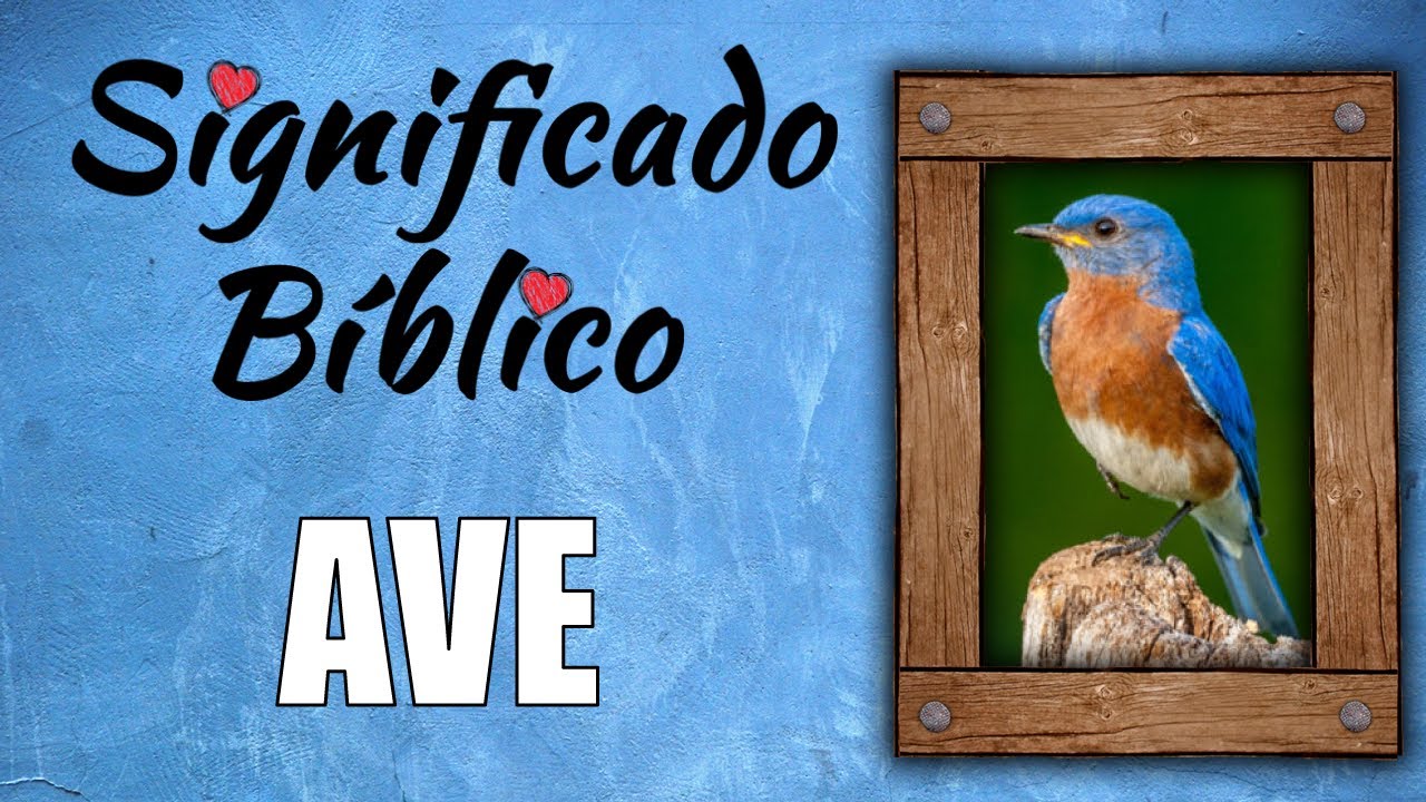 Significado religioso del pájaro macua en la Biblia