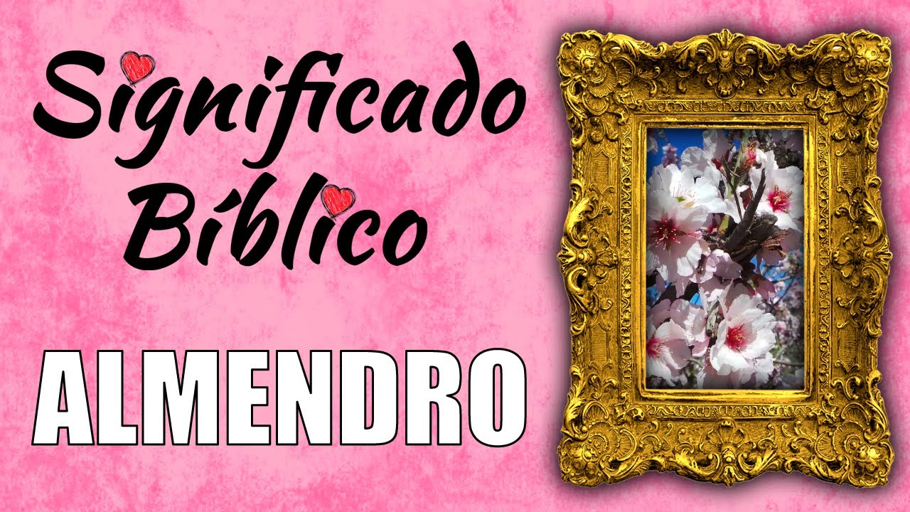 Simbolismo de la vara de almendro en la Biblia