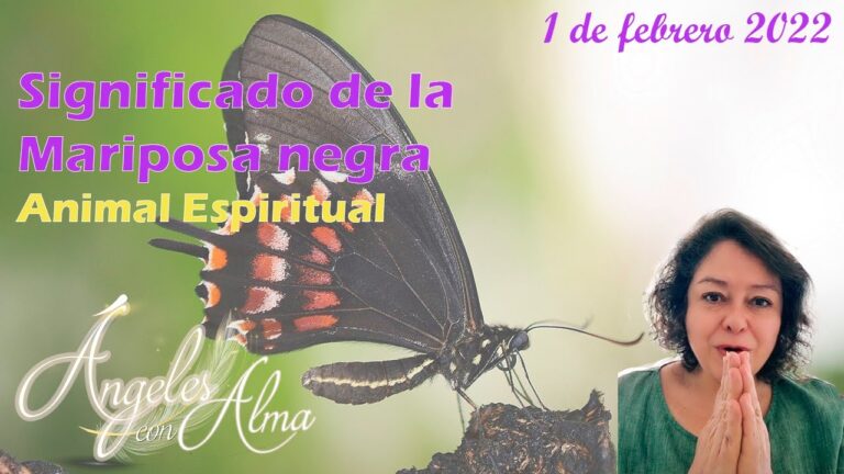 El Simbolismo de las Mariposas Negras en la Fe Cristiana: Significado y