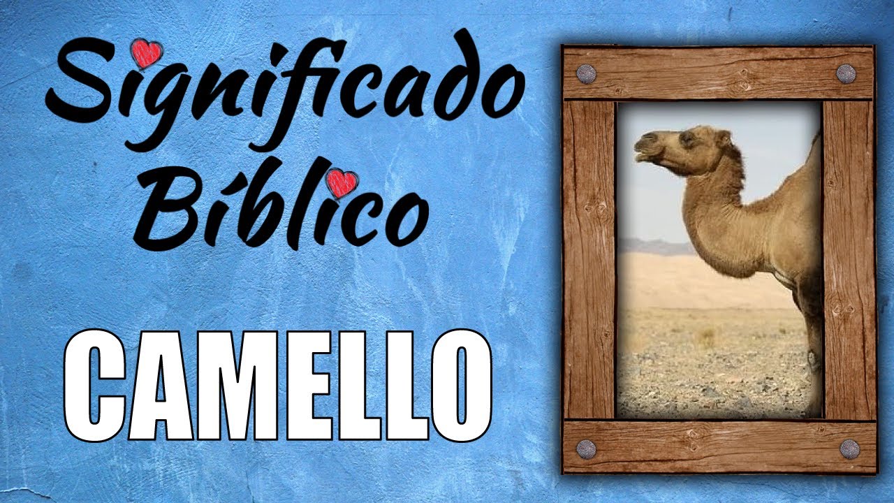 Camellos en la Biblia: su significado espiritual