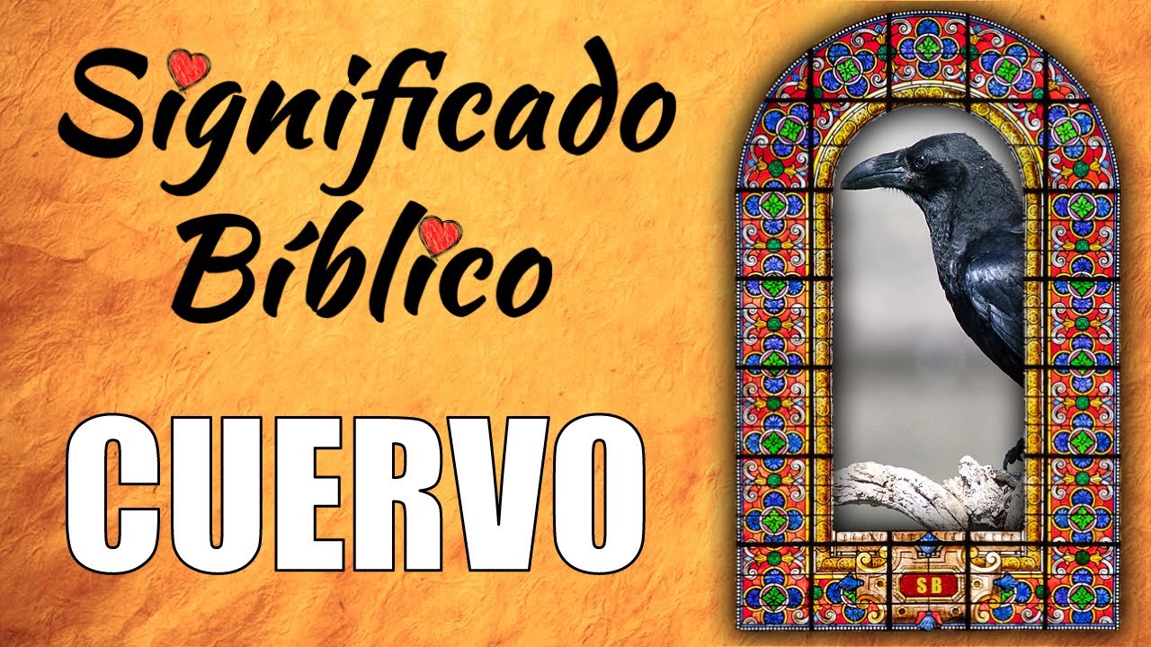 Descubre el papel de los cuervos en la Biblia y su significado