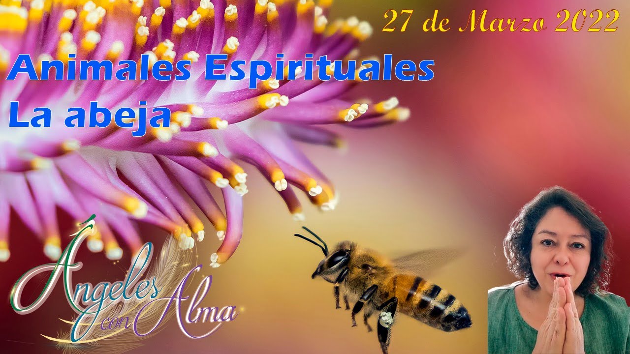 El simbolismo de la abeja en la Biblia y su significado espiritual